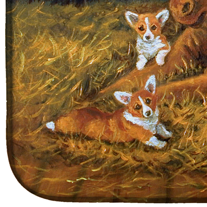 Drying Mat