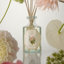 Rose Mint Diffuser-912583408