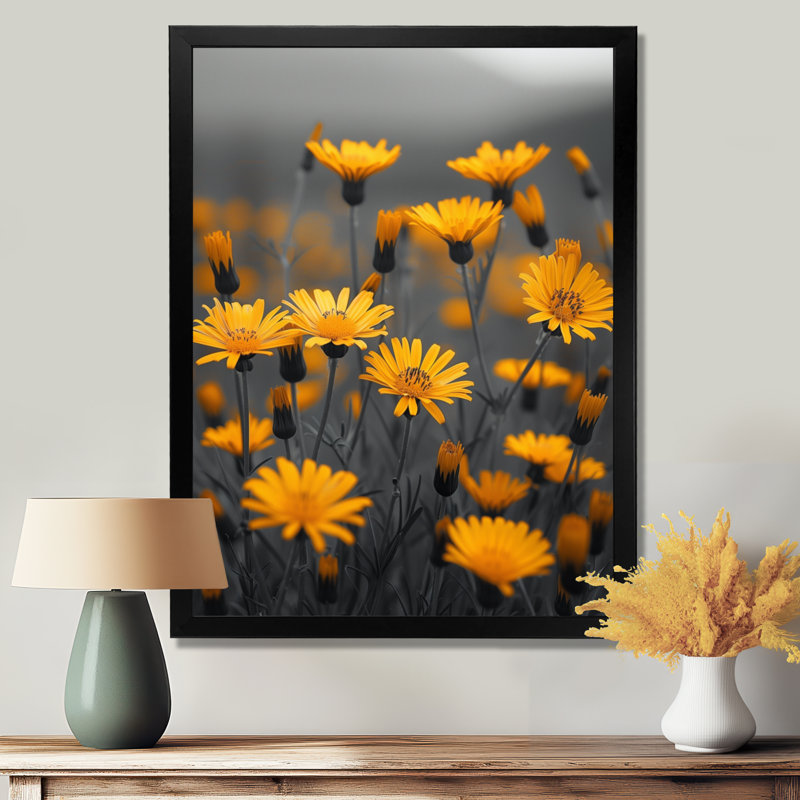Marguerite jaune et gris dans le vent I - art mural marguerite, Black Picture Framed, H 30 po x l 40 po