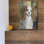«Cavalier King Charles» par Solveiga