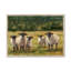 Babsy Sheep Family I - Painting-1599097634-1599097663