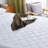Chinle 0.15'' Down Alternative Mattress Pad-1118022864