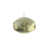 Vert sauge transparent