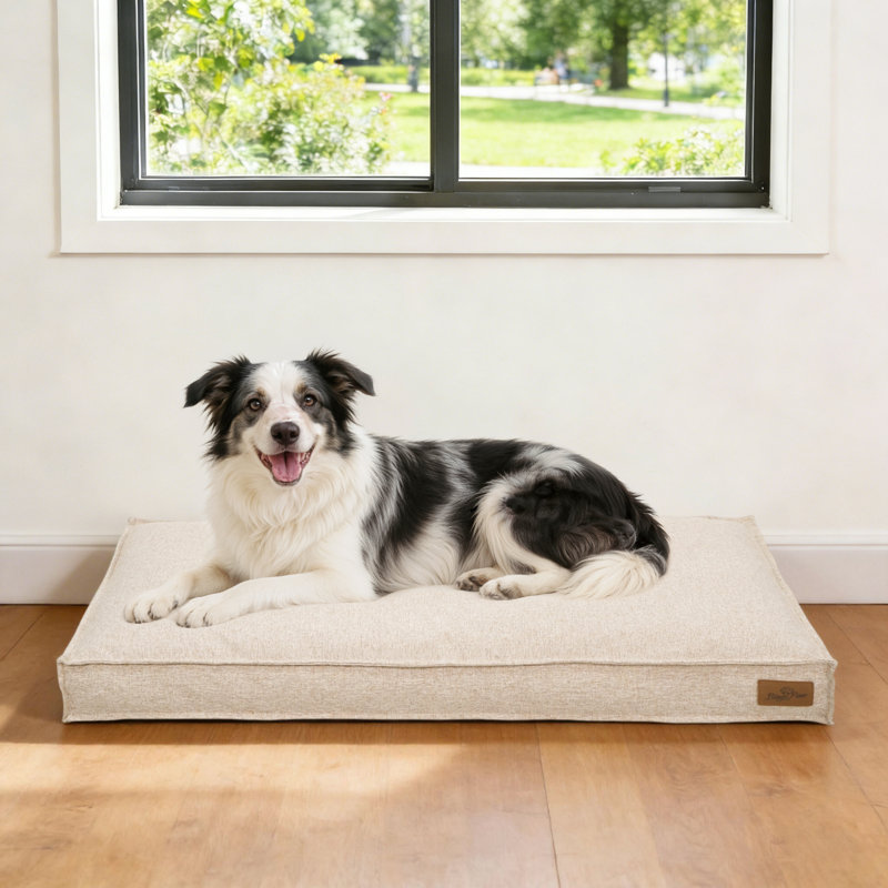 Pet Bed Firm Support Crate Mattress, Beige, Large (10cm H x 103cm W x 69cm D)
