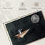 Avion en papier jusqu'à la lune-107719134