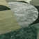 Corel Green Area Rug