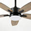 Ventilateur de plafond 42 "Modern Farmhouse 