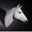 Statue tête de cheval blanche