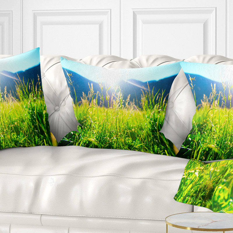 Coussin Schafer, 18 po x 18 po, Coussin décoratif
