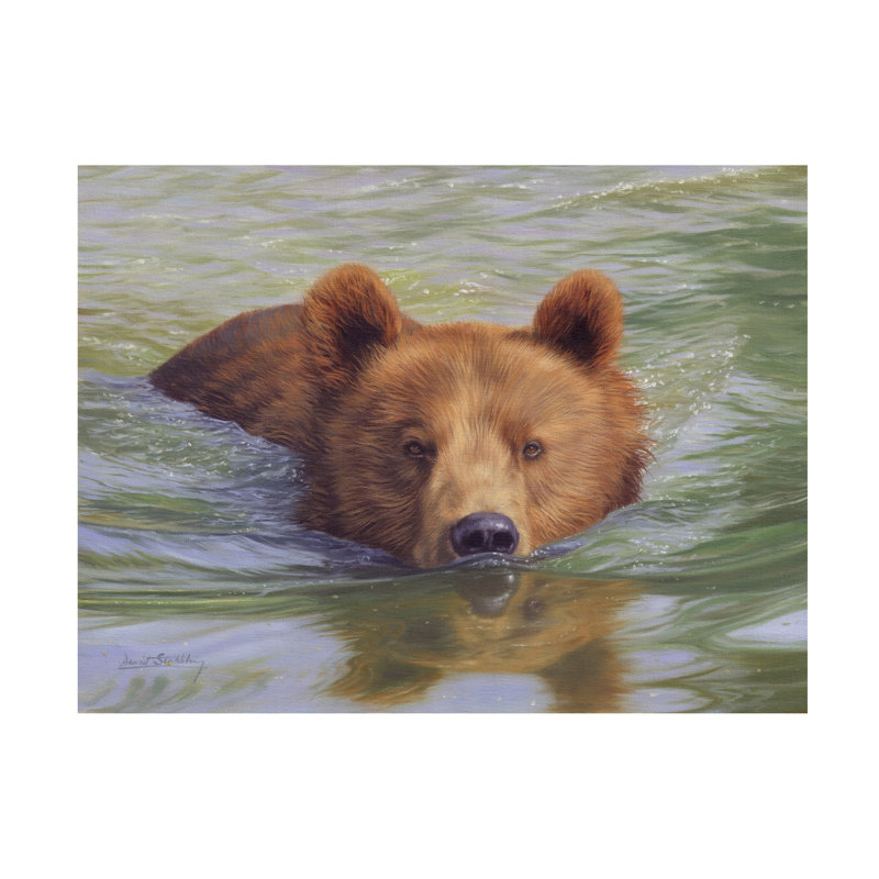 Art sur toile David, ours brun dans l'eau, H 24 po x l 32 po
