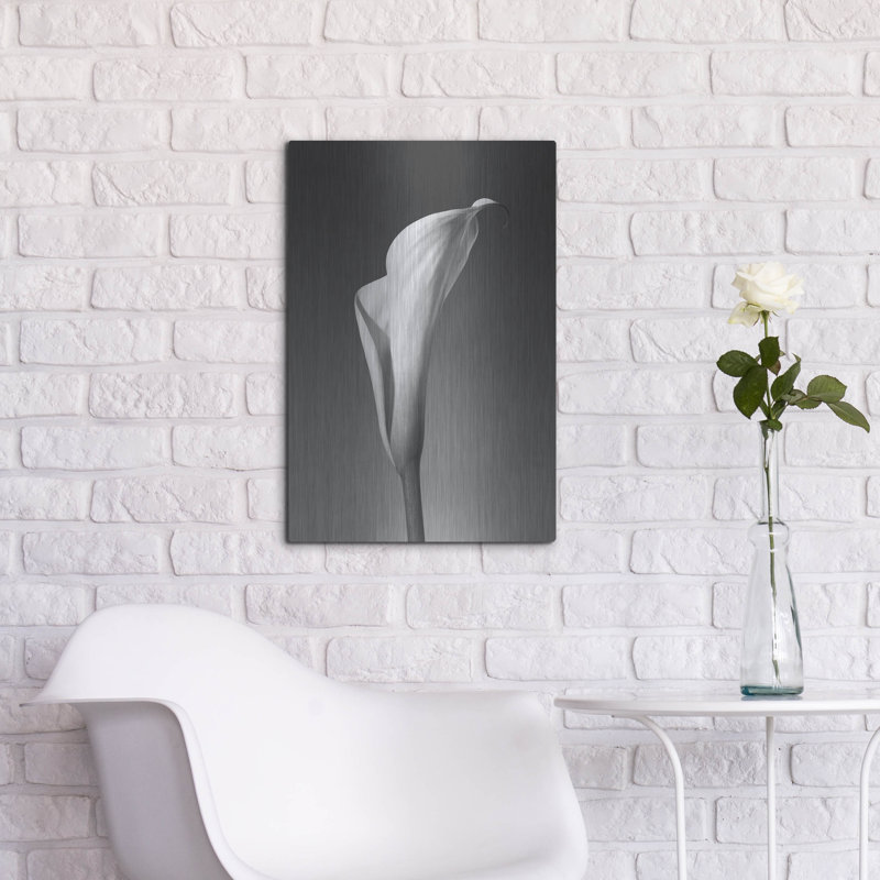 «Calla No. 4» par PhotoINC Studio, H 24 po x l 16 po
