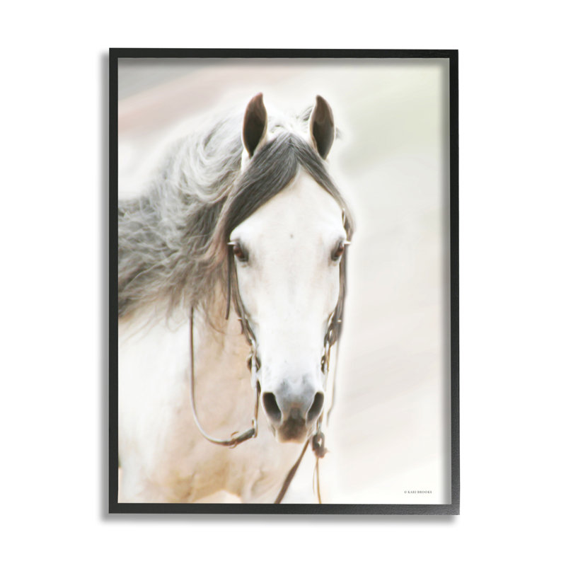 Cheval blanc par Kari Brooks, H 20 po x l 16 po x P 1,5 po, Estampe numérique Farmhouse