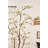 82" White Magnolia Flowering Tree in Pot