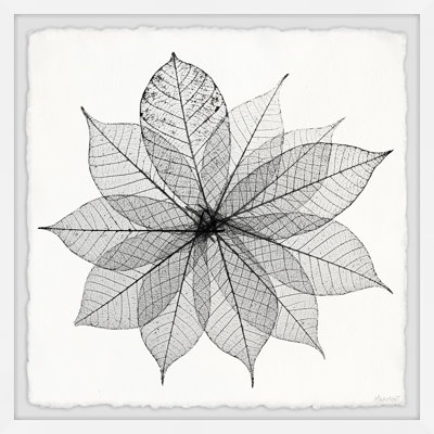Leaf Structure - Single Picture Frame Painting