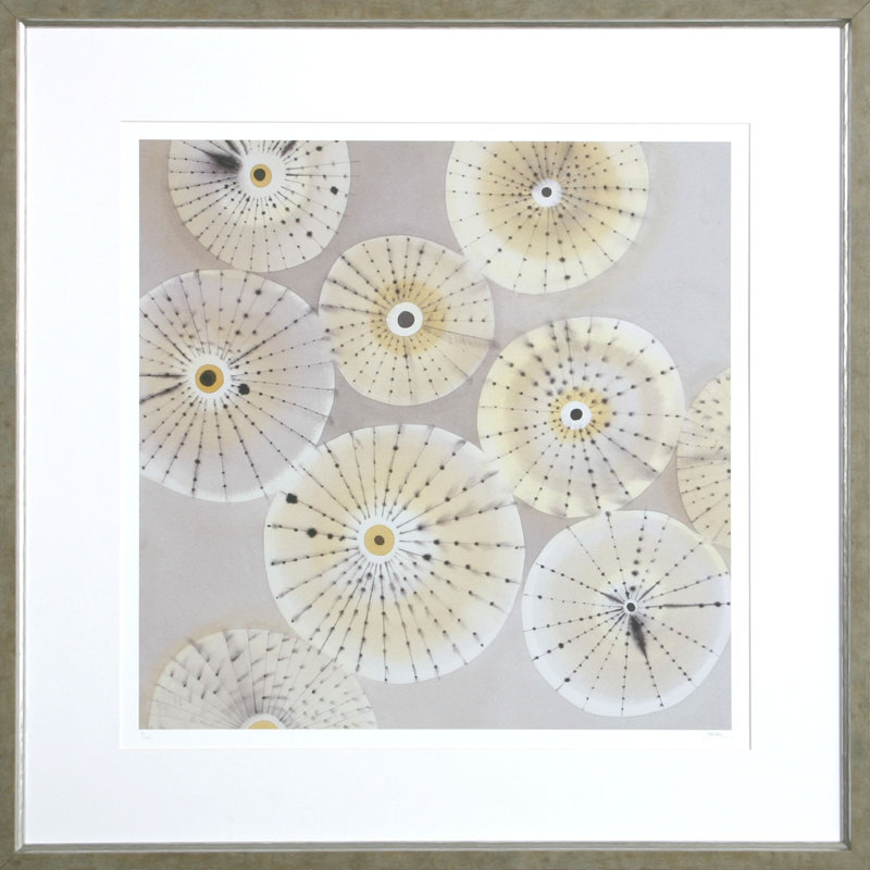 Sea Urchins 2 Print by Heaton