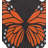 Stepping Stone - Monarch