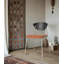 Chaise à dossier simple en bois massif pour petit appartement-186788255