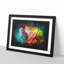 Rainbow Macaw Parrot - Picture Frame Graphic Art-56875959-56875952