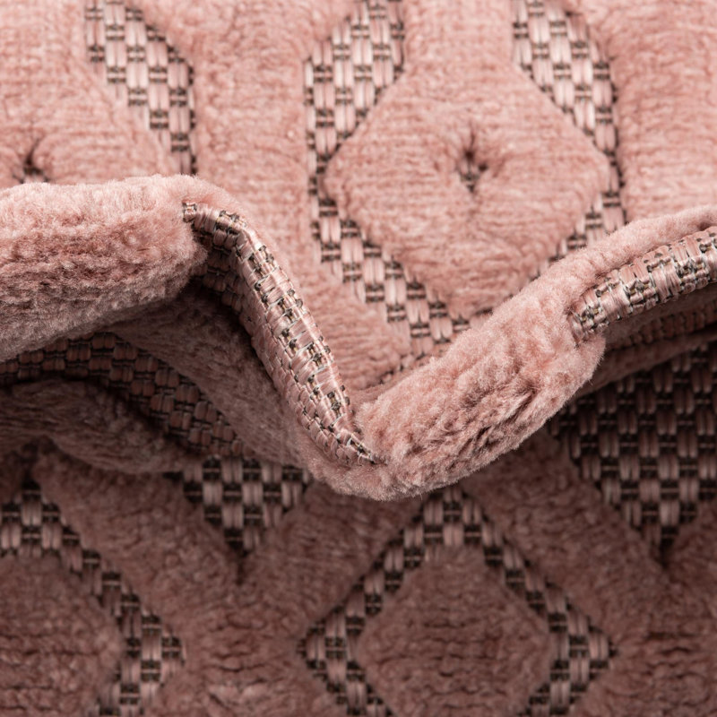 Tapis intérieur / extérieur rose Griffie, Rond 5 pi 3 po