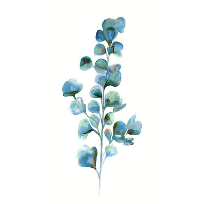 Eucalyptus Leaves II Giclee Print by Barclay Butera