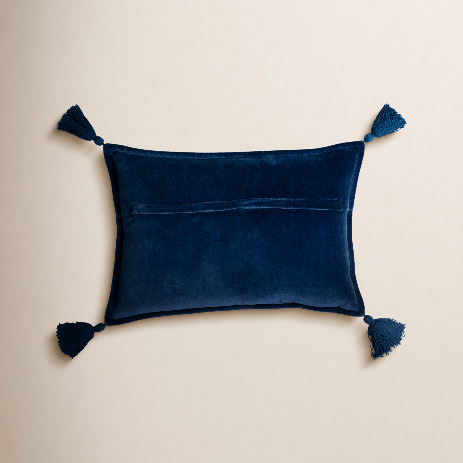 Norwin Tassels Cotton Lumbar Throw Pillow, Dark Blue, Pillow Cover Only - No Insert