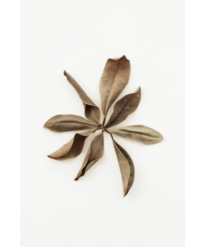 Wrapped Canvas Print, 76.2 cm H x 50.8 cm W