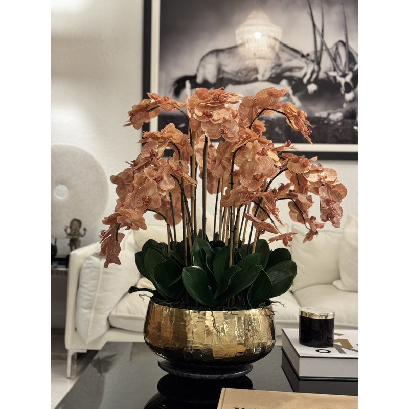 Roberi Light Brown Orchid Arrangement In Planter / Size:28" H X 18" W X 18" D