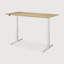 Bok Standing Desk-1766919454-1766919449
