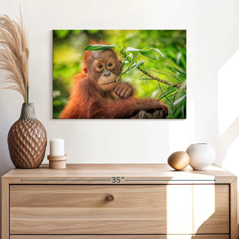 Leaf Munching Orangutan, 16" H x 24" W