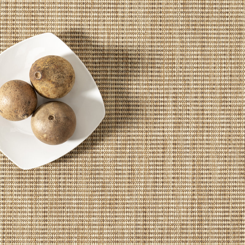 Nakia Transitional Indoor/Outdoor Area Rug, Rectangle 3'6" x 5'