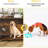 48" Large Dog Crate With Construction & Adjustable Water Feeder Material Raised-48199943