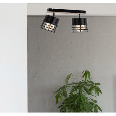 Tequesta Spotlight