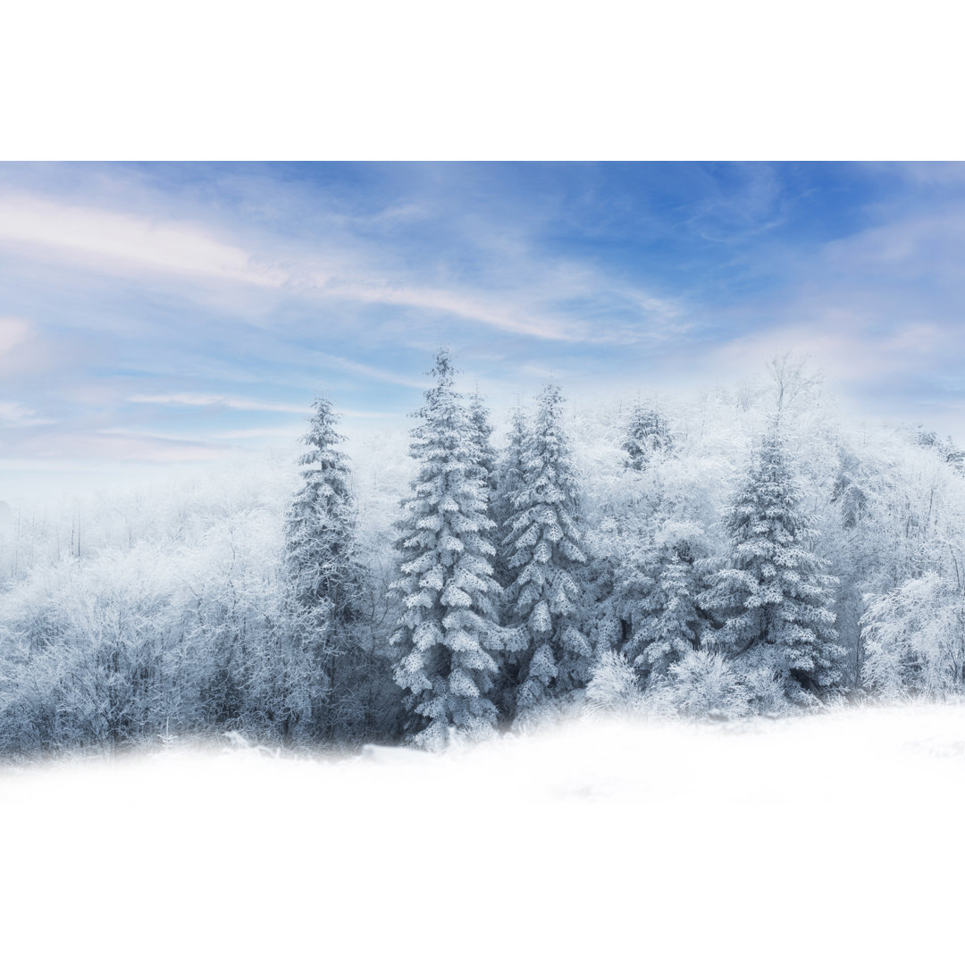 Winterbäume in den Bergen mit frischem Schnee von Ranasu - Ohne Rahmen auf Leinwand drucken