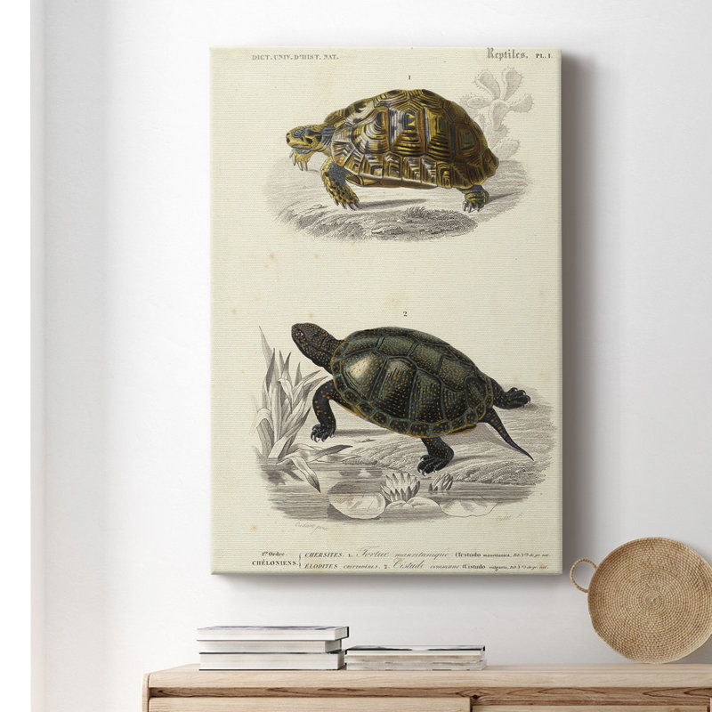 Tortue antique duo II - peinture sur toile tendue, H 48 po x l 32 po x P 1,5 po