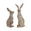 Ensemble de statue de lapin Viviano