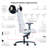  SL5800 HygennX Black/White Ergonomic Adjustable Lumbar Features Audi RS Edition