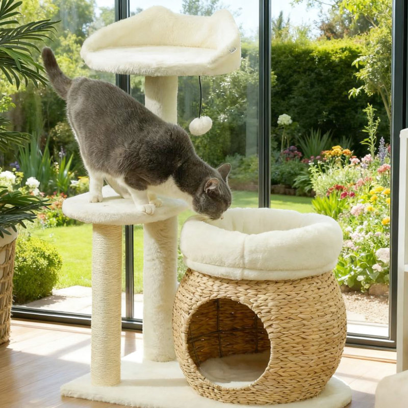 Arbre à chat de 79 cm avec poteaux à griffer, plateforme et deux lits confortables. Revêtement en velours naturel doux comme du jonc. Convient pour 1 à 2 chats jusqu'à 5 kg.