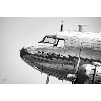 " Old Bird " by Justin Spivey