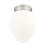 Jevone Glass Flush Mount-805576598-805576599