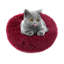Tapis pour animal de compagnie Cecilla-1777889293-1777889291