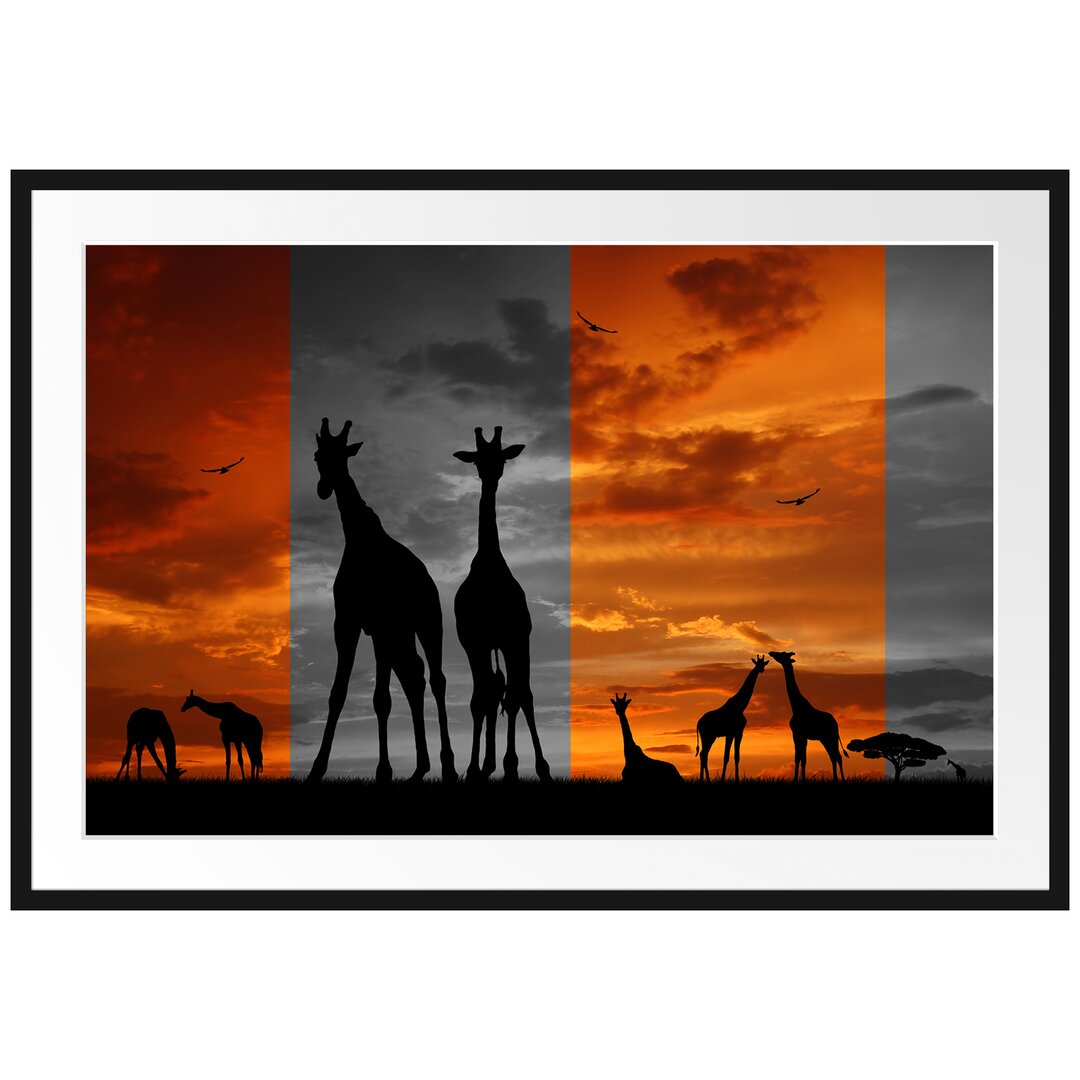 Gerahmtes Poster Afrikas Giraffen bei Sonnenuntergang