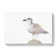 Seagull Bird In The Rainbow In Abstract - Wrapped Canvas Print