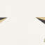 Etoile Tape-39977292