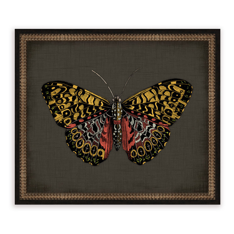 « papillons on black iv », impression encadrée