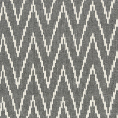 Kasari Ikat Fabric