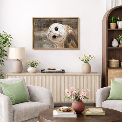 «Bird Bird Curious Owl Look» (Tyto Albahead), tête en gros plan sur toile