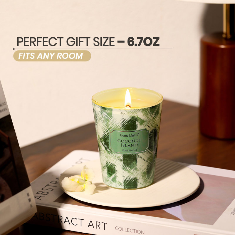 Île Coconut | Homelights 1-Wick - 6,7 oz de cire de soja - 40 heures et plus de bougies parfumées
