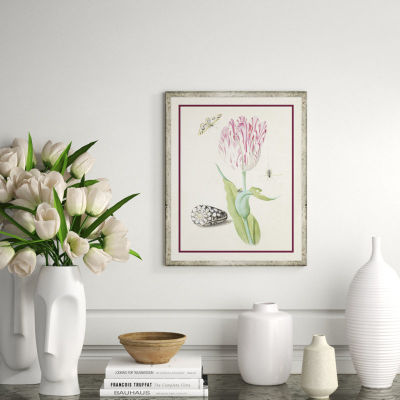Flower, Seashell And Insect III Giclee Print