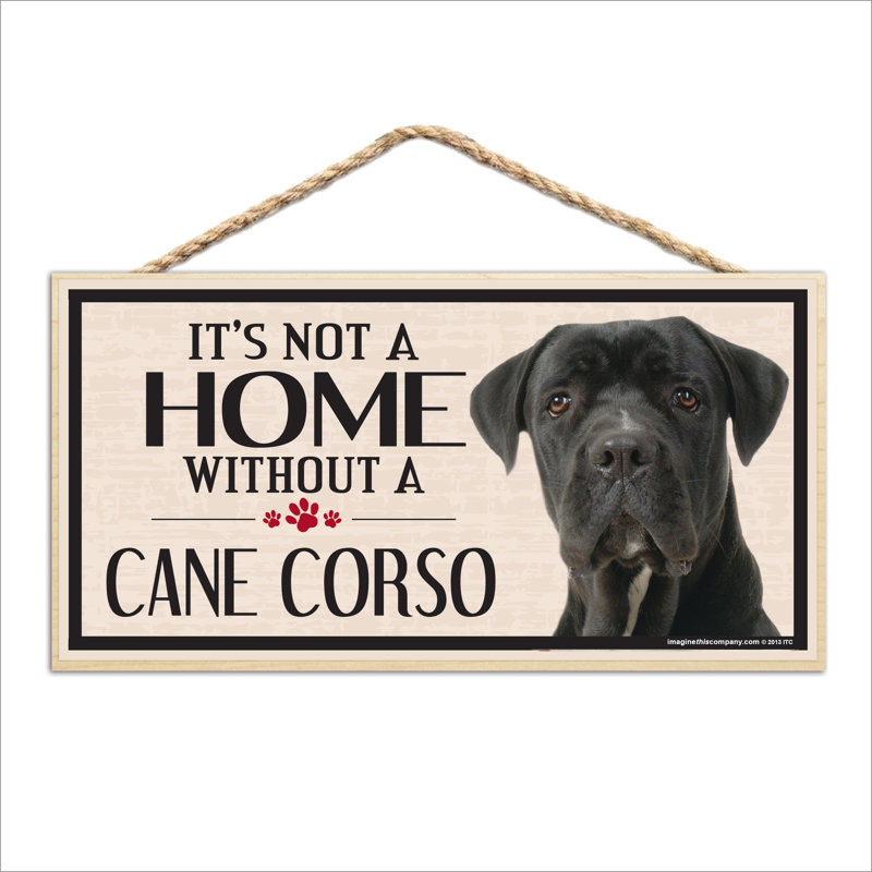 Ce n'est pas une maison sans notre cane Corso