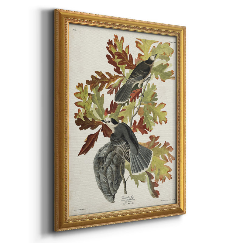 " Pl 107 Canada Jay ", 20" H x 16" W x 2.5" D